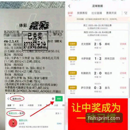 乐鱼体育比赛直播平台深度解析与使用指南