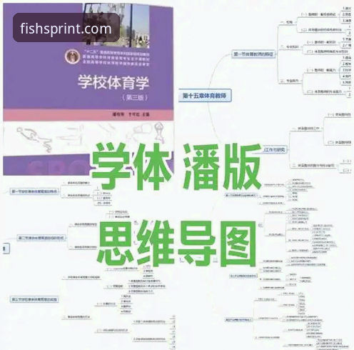 乐鱼体育功能详解与下载全流程深度剖析：从核心特色到实操指南